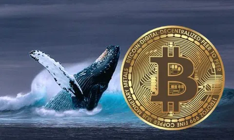 Thị trường tiền số hôm nay, 11-1: "Cá voi" Bitcoin bất ngờ quay xe