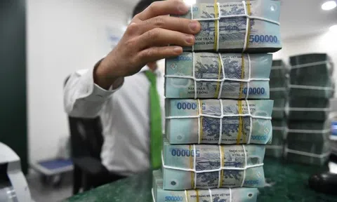 Việt Nam vừa có thêm một doanh nghiệp trị giá 600.000 tỷ