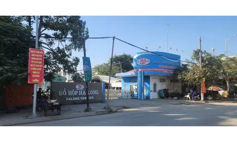 Kiểm tra Công ty Đồ hộp Hạ Long, 3 năm không phát hiện sai phạm