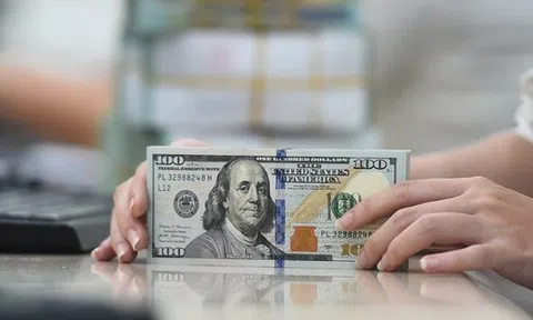 Cập nhật thị trường tiền tệ 14/1: Tỷ giá USD tự do giảm mạnh, Ngân hàng Nhà nước tiếp tục hút ròng VND