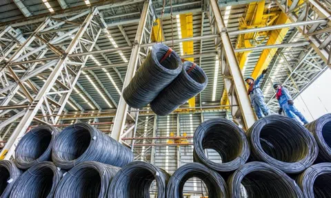 Đối tác của Vingroup có biến: Cổ đông lớn nhất muốn thoái bớt vốn sau cú tăng 200%, lý do gây bất ngờ