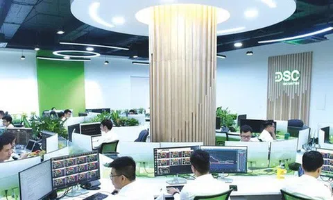 Chứng khoán DSC bổ sung 1 thành viên HĐQT, chốt phương án phát hành ESOP