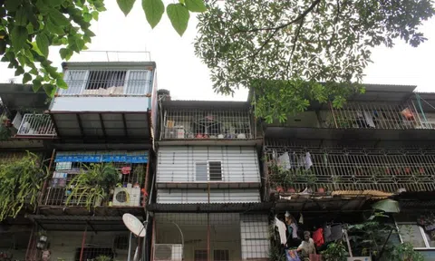 Hà Nội kiểm định toàn bộ chung cư cũ tại 48 xã, phường