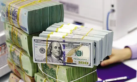 Cập nhật thị trường tiền tệ: Tỷ giá USD tự do giảm sâu, Ngân hàng Nhà nước hút về gần 30.000 tỷ đồng trong tuần qua