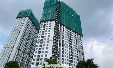 Phân khúc trụ cột của thị trường bất động sản 2026