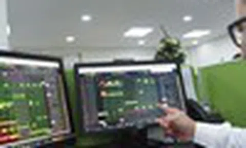 Lựa chọn danh mục hài hòa