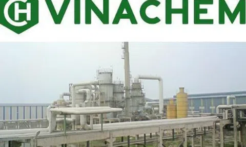 Dừng phiên đấu giá hơn 2 triệu cổ phần tại Vinachimex thuộc sở hữu Vinachem