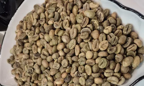 Giá cà phê hôm nay 20-1: Tăng nhẹ