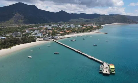 Thao túng giá tín chỉ carbon trên sàn giao dịch có thể bị xử lý hình sự