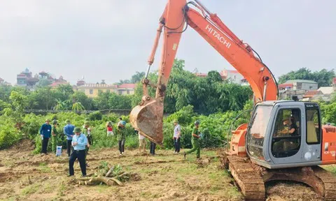 Chỉ 4 ngày nữa: 7 hành vi vi phạm đất đai có thể bị khởi tố, người dân cần nắm rõ thông tin