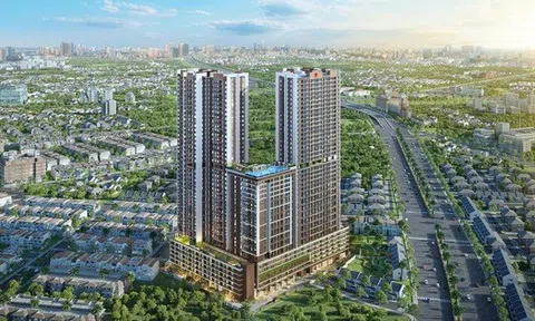 Saigon Glory và Đất xanh miền Nam bị xử phạt vi phạm công bố thông tin