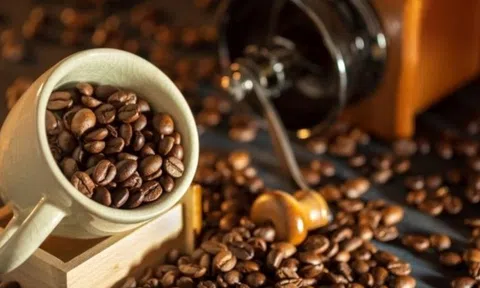 Thị trường hàng hóa phân hóa mạnh, MXV-Index phá đỉnh ba năm