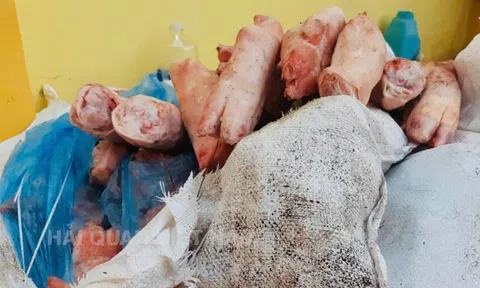 1.000kg chân lợn bốc mùi, 220kg xúc xích đông lạnh vừa bị thu giữ