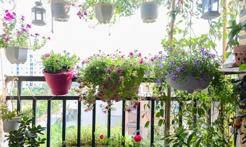 Những ý tưởng thú vị trang trí ban công đón Tết