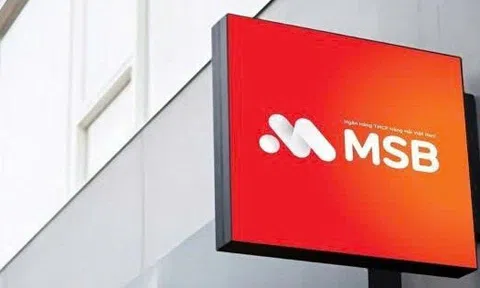 VMSC muốn bán ra gần 2,5 triệu cổ phiếu MSB