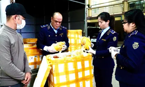 Kiểm tra một xe ô tô tải, phát hiện điều bất thường