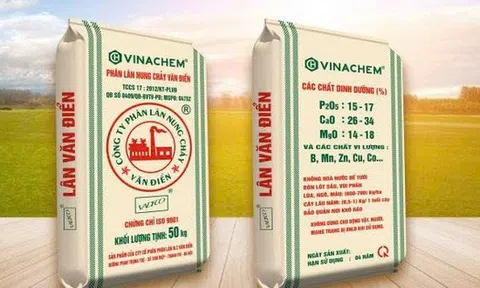 Phân lân Văn Điển bị HoSE nhắc nhở do chậm công bố thông tin