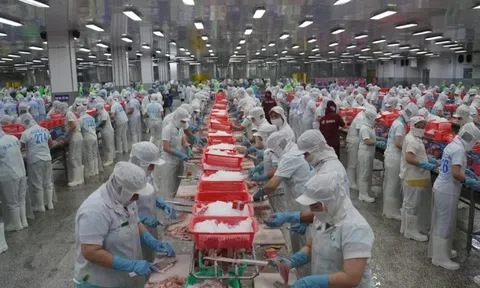 Đồng Tháp thưởng Tết cao nhất 300 triệu đồng/người