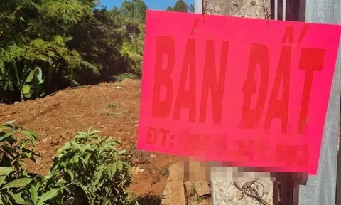 LẰN RANH: Vào tù nếu xù tiền cọc!