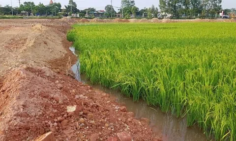 Người dân “lên thổ cư” cho đất lúa bị trả hồ sơ, Bộ NN&MT trả lời