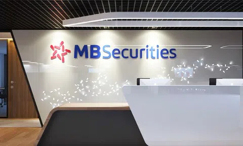 MBS hoàn tất phát hành gần 8,6 triệu cổ phiếu ESOP cho 309 nhân viên