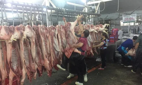 Giá heo hơi hôm nay, 28-1: Giá heo mảnh ở chợ đầu mối tăng cao