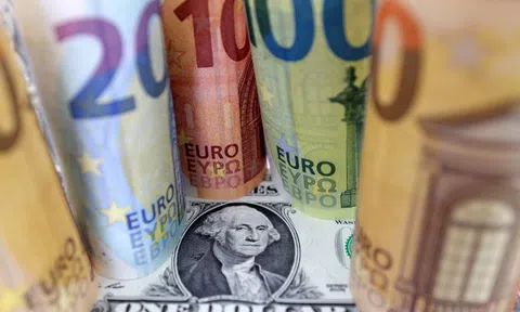 Đồng euro mạnh nhất nửa thập kỷ