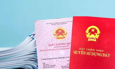 Năm 1998, ông An mua đất bằng giấy tay, không giữ Giấy chứng nhận, bây giờ xử lý thế nào? Bộ Nông nghiệp và Môi trường trả lời