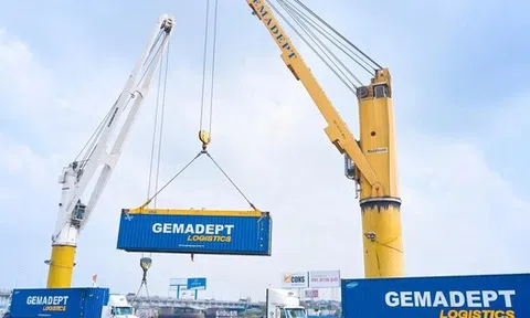 Nhóm quỹ thuộc VinaCapital tăng sở hữu tại Gemadept lên hơn 6%