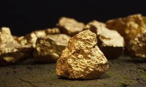 Cổ phiếu công ty đào vàng Việt Nam tăng dựng đứng