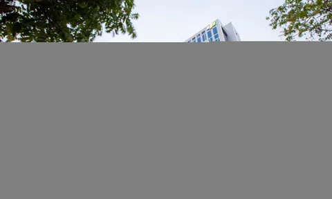 FPT lần đầu vượt 10.000 tỷ lợi nhuận