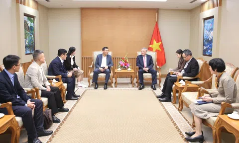 Phó Thủ tướng Thường trực Nguyễn Hòa Bình tiếp Tổng giám đốc điều hành của HD Hyundai Eco Vina