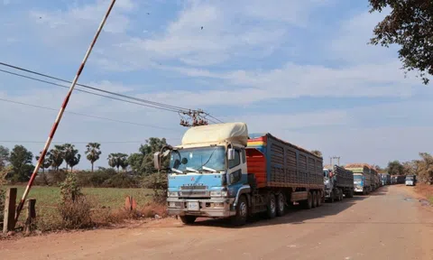 Ùn ứ 700 lô hàng nông sản, thực phẩm nhập khẩu, Bộ Nông nghiệp và Môi trường lên tiếng