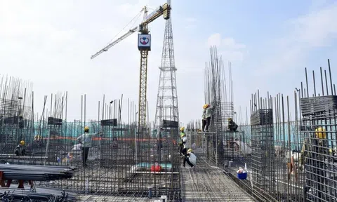 Cơ quan quản lý Nhà nước chỉ kiểm soát 1 lần/dự án