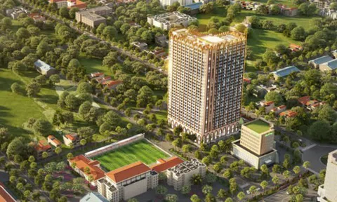 Cổ phiếu API vào diện bị kiểm soát, APEC Group nói gì?