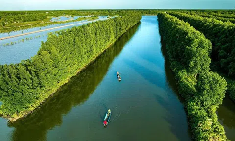 Cua biển Cà Mau liên tục tăng giá