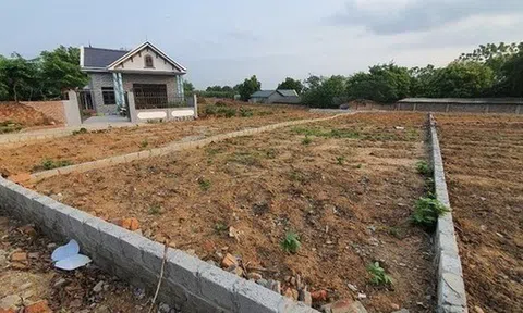 Hơn 90m2 đất vườn không gắn liền đất ở khi chuyển sang thổ cư người dân đóng thuế 100% hay được giảm theo Nghị quyết mới?