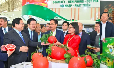 Bước chạy đà cho thị trường Tết