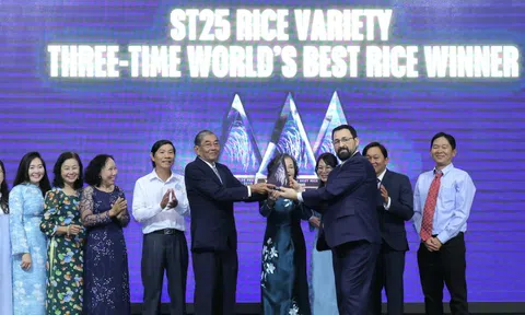 Trao cúp "Gạo ngon nhất thế giới năm 2025" cho ông Hồ Quang Cua