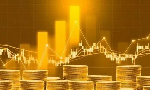 Sàn giao dịch vàng có giúp giảm vàng hóa nền kinh tế hay không?