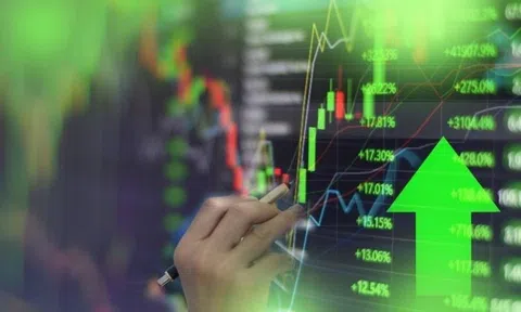 Hai kịch bản cho VN-Index trong tháng 2/2026