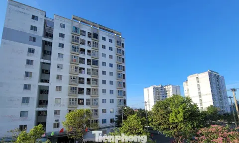 Người lao động chật vật vì giá thuê căn hộ ‘neo’ cao