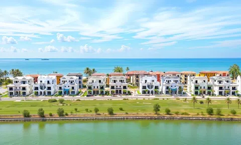 Doanh nghiệp bất động sản phía Nam làm ăn ra sao trong năm 2025?