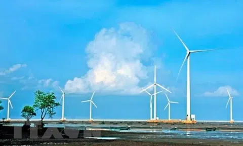 Duyệt nhà đầu tư dự án Nhà máy điện gió Hòn Trâu hơn 48.000 tỷ