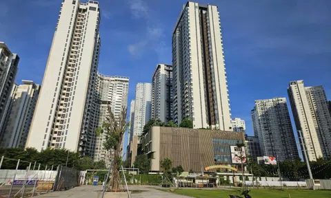 Lãnh đạo ngân hàng lên tiếng về mức lãi suất cho vay bất động sản lên tới 14%/năm