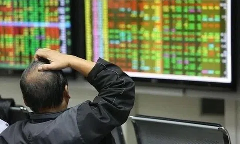 Góc nhìn chuyên gia: VN-Index khả năng có cú hồi kỹ thuật giữa tuần, tận dụng cơ cấu danh mục cổ phiếu trước Tết