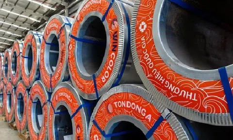 Tôn Đông Á thành lập công ty con kinh doanh bất động sản