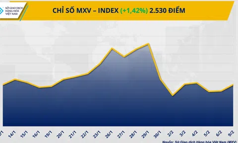 THỊ TRƯỜNG HÀNG HÓA: Giá bạc tăng vọt 7%, lúa mì chịu sức ép từ nguồn cung Biển Đen