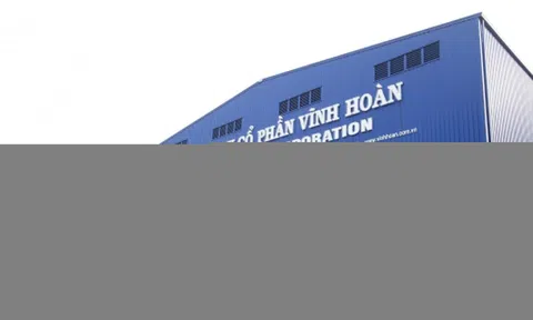 Lỗ đầu tư chứng khoán, Vĩnh Hoàn rút vốn khỏi loạt cổ phiếu địa ốc