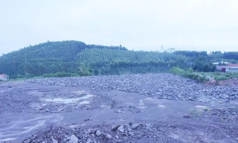 Khởi tố cựu cán bộ ‘ngó lơ’ vụ khai thác hơn 200.000m3 đất